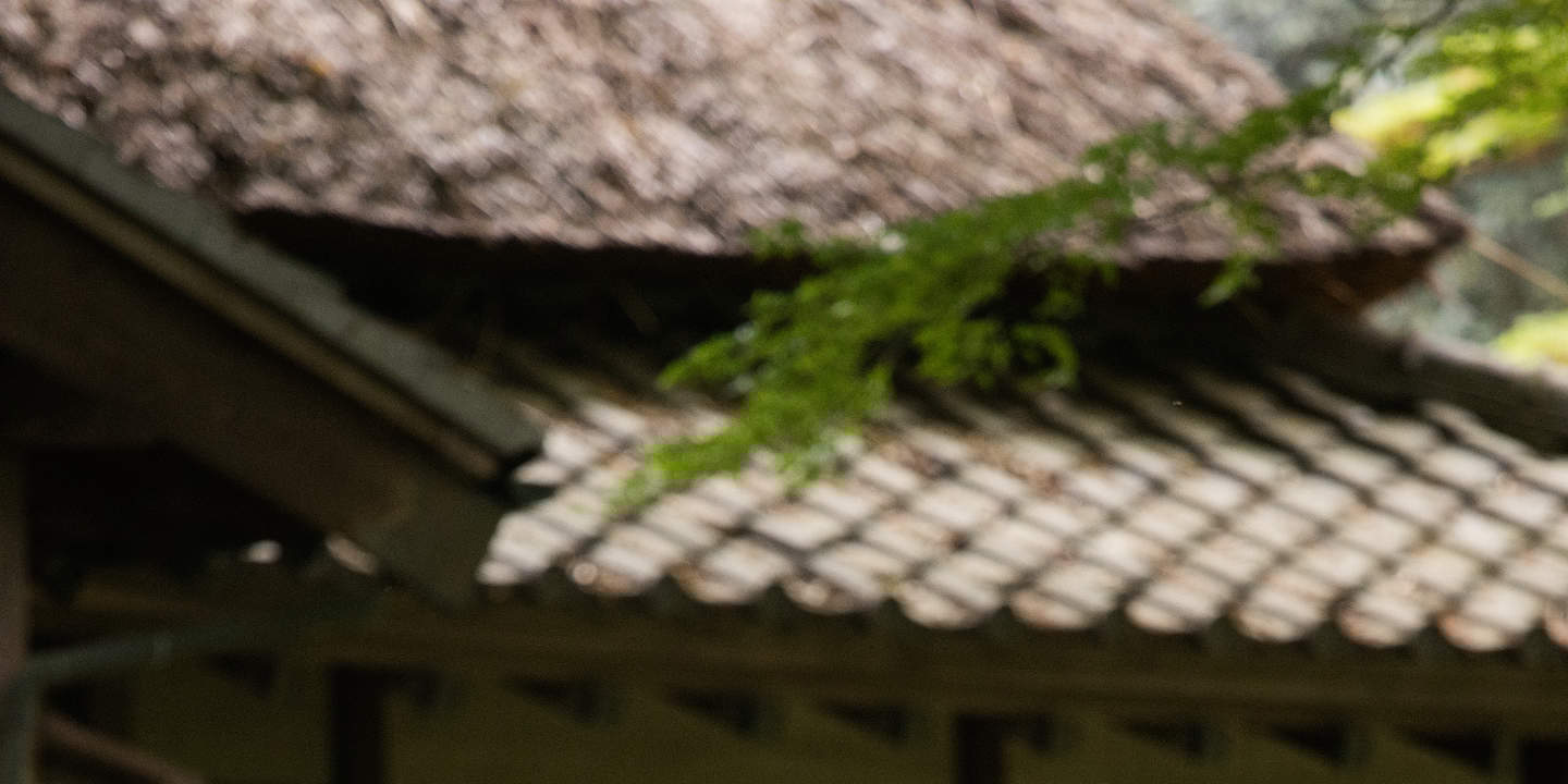 Tokyo: Tur Foto Pernikahan dengan 3 Lokasi & Penataan Profesional